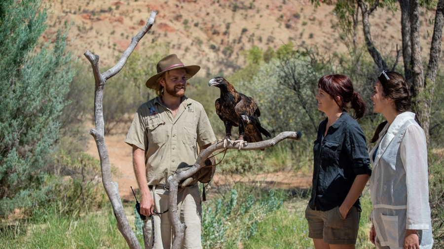 Setwidth900 NT Alice Springs Desert Park