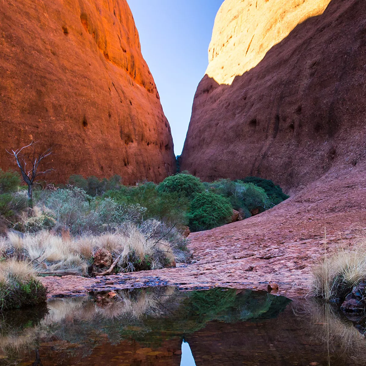 Uluru Sunrise and Kata Tjuta