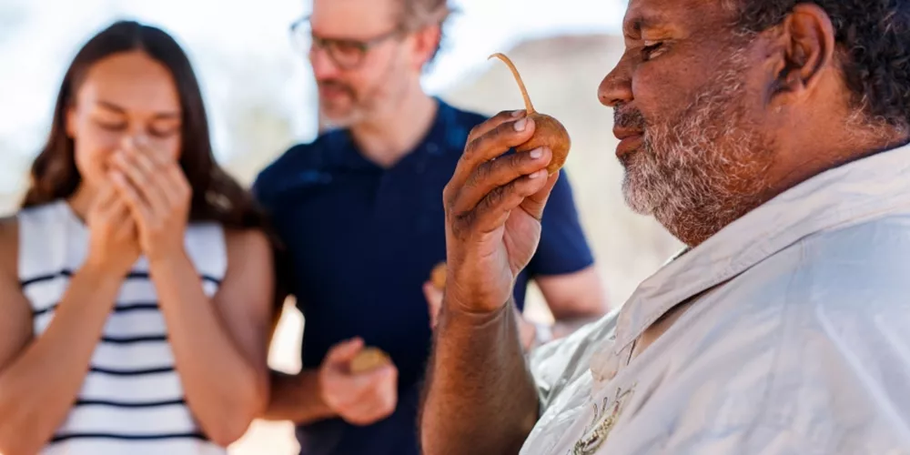 Setwidth900 AATKINGS NT Karrke Indigenous Cultural Experience