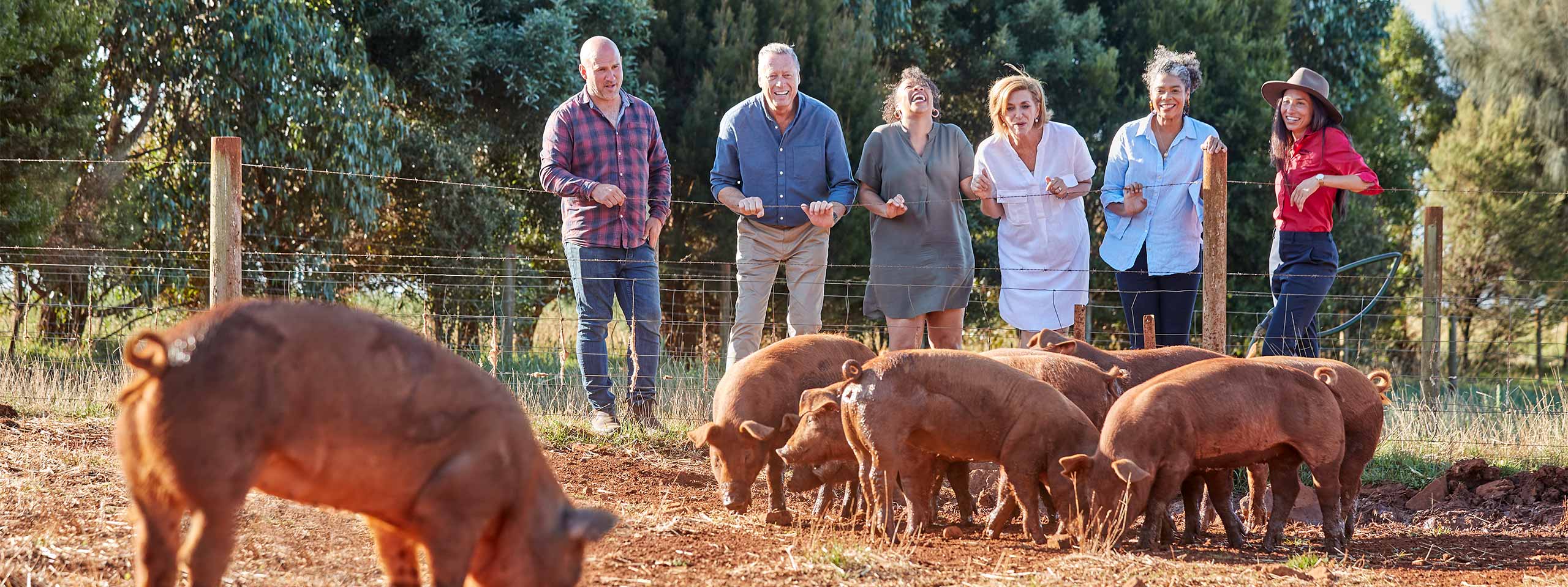 A group of people standing around a herd of cattle