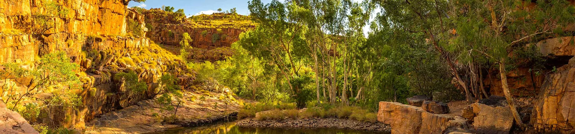 Zebedee Springs