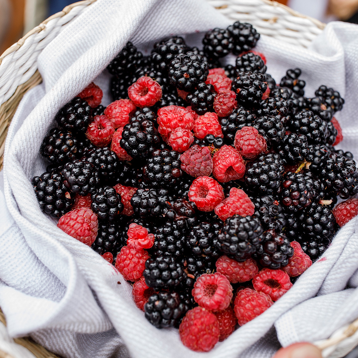 blackberries-and-raspberries-from-salamanca-markets-hobart.jpg