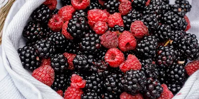 blackberries-and-raspberries-from-salamanca-markets-hobart.jpg