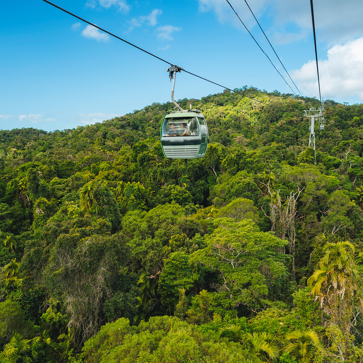 Skyrail Rainforest Cable Way