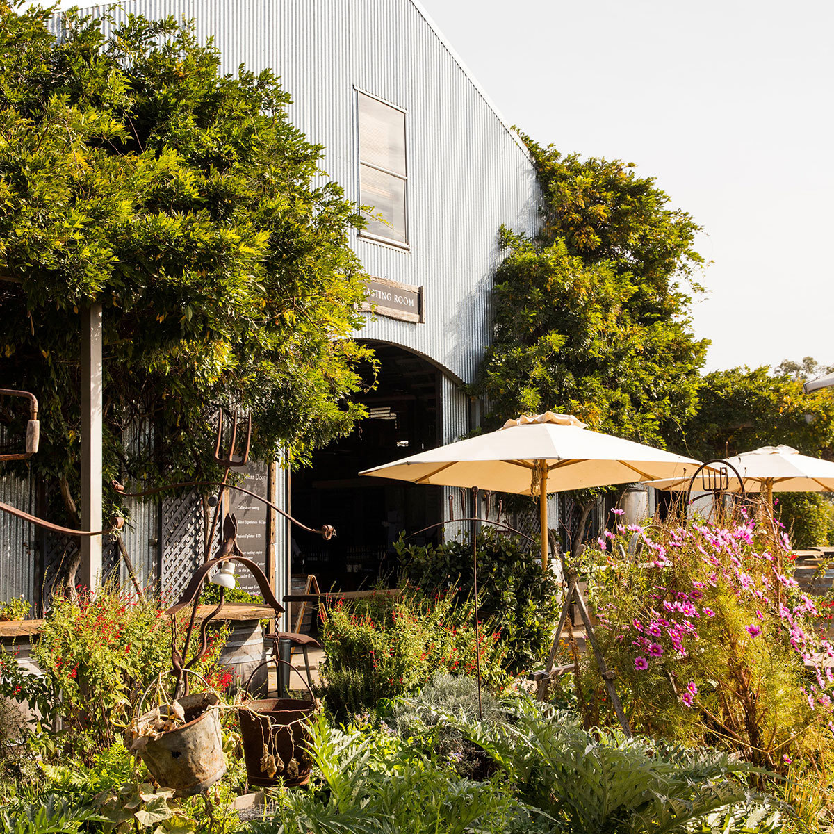 lowe-wines-mudge-credit-destination-nsw.jpg