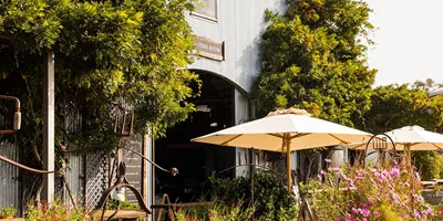 lowe-wines-mudge-credit-destination-nsw.jpg