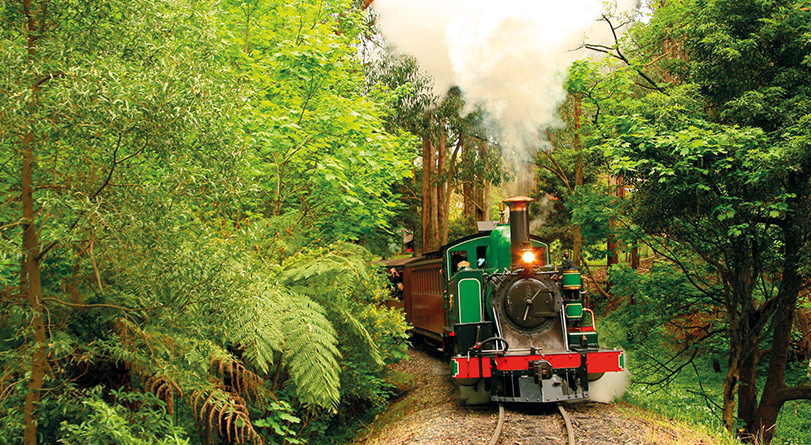 Locomotive going through the forest