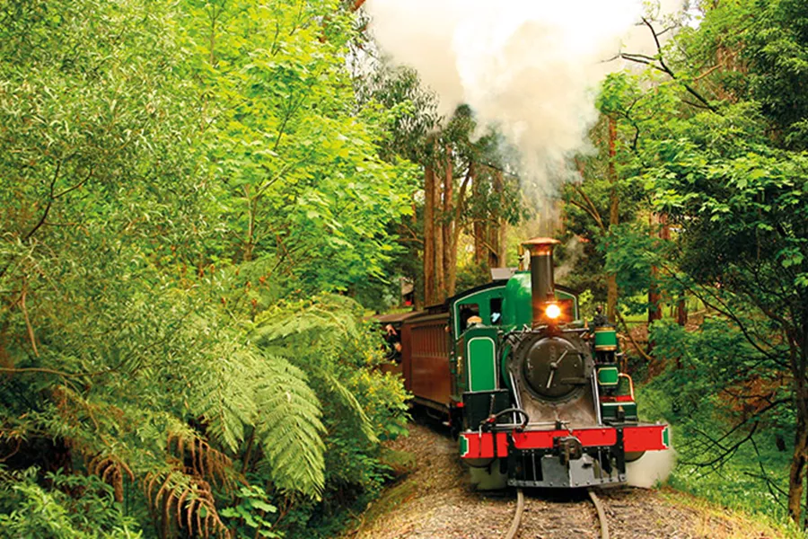 Locomotive going through the forest