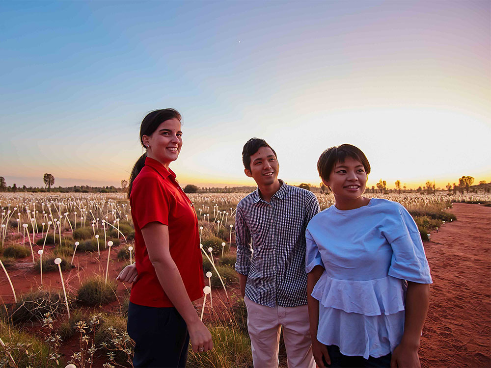 AAT Kings Driver Guides Field Of Light