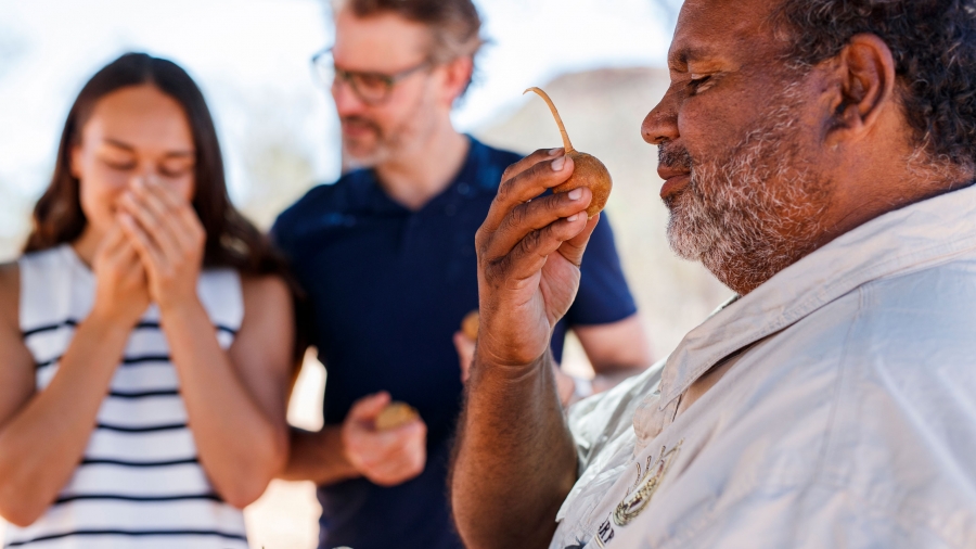 A group of people smelling local vegetables during Karrke Aboriginal Experience