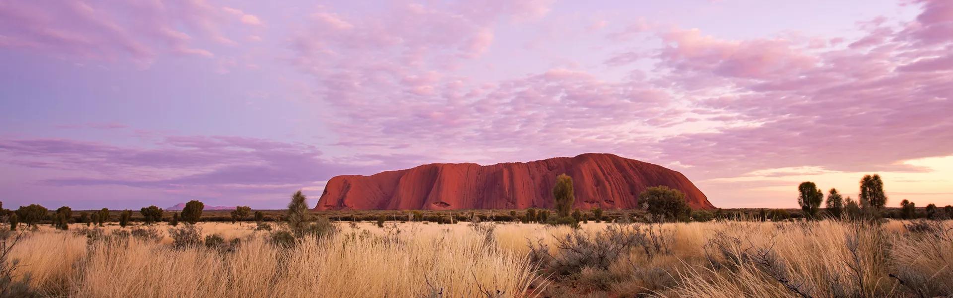 Uluru City Red Centre Banner