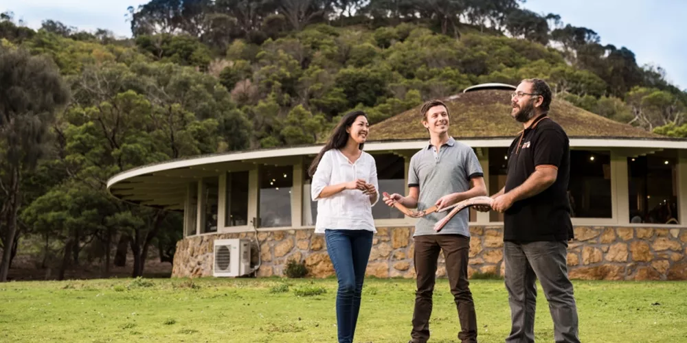 Tourists learning to throw boomerang in Tower Hill Wildlife Reserve