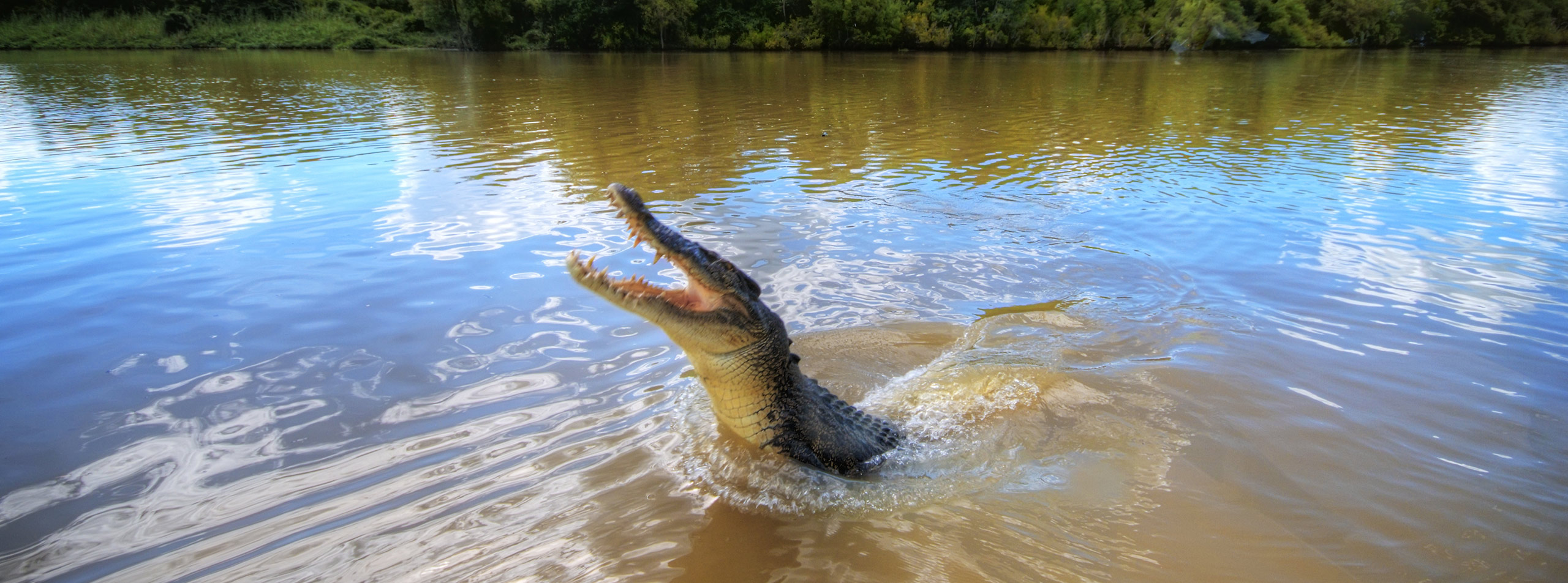 Crocs river shop