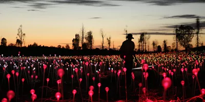 Field of Light at sunrise