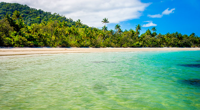 View on Cape Tribulation on sunny day