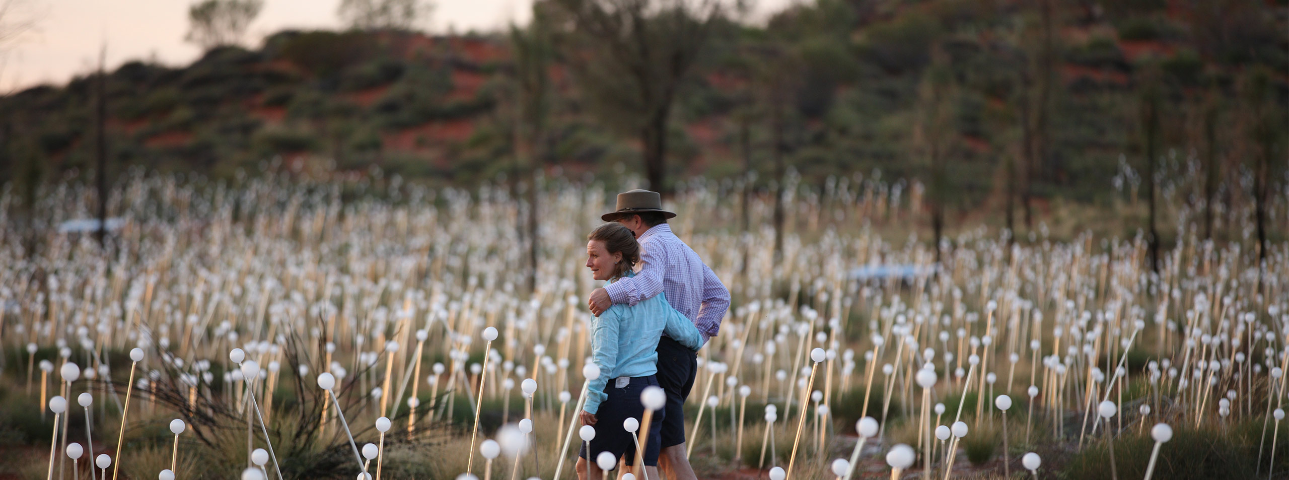 Field of Light Guests