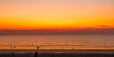 darwin-at-sunset.jpg