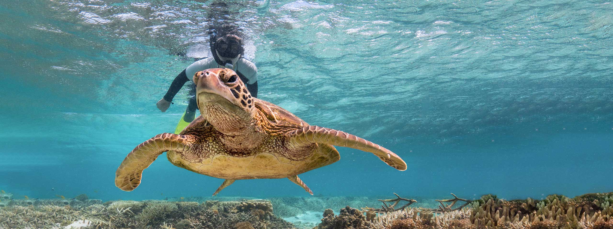 Qsc Qcs Great Barrier Reef Tr