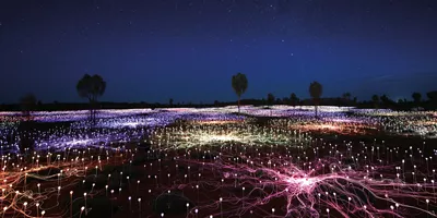 field-of-light-at-night-fol-banner.jpg