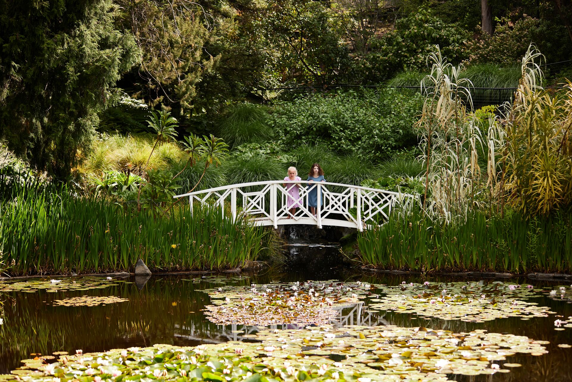 Two women on a bridge by a pond in Royal Tasmanian Botanical Gardens