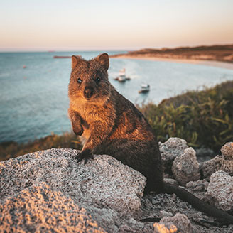 Best Beaches In Wa Blog Carousel Card 1
