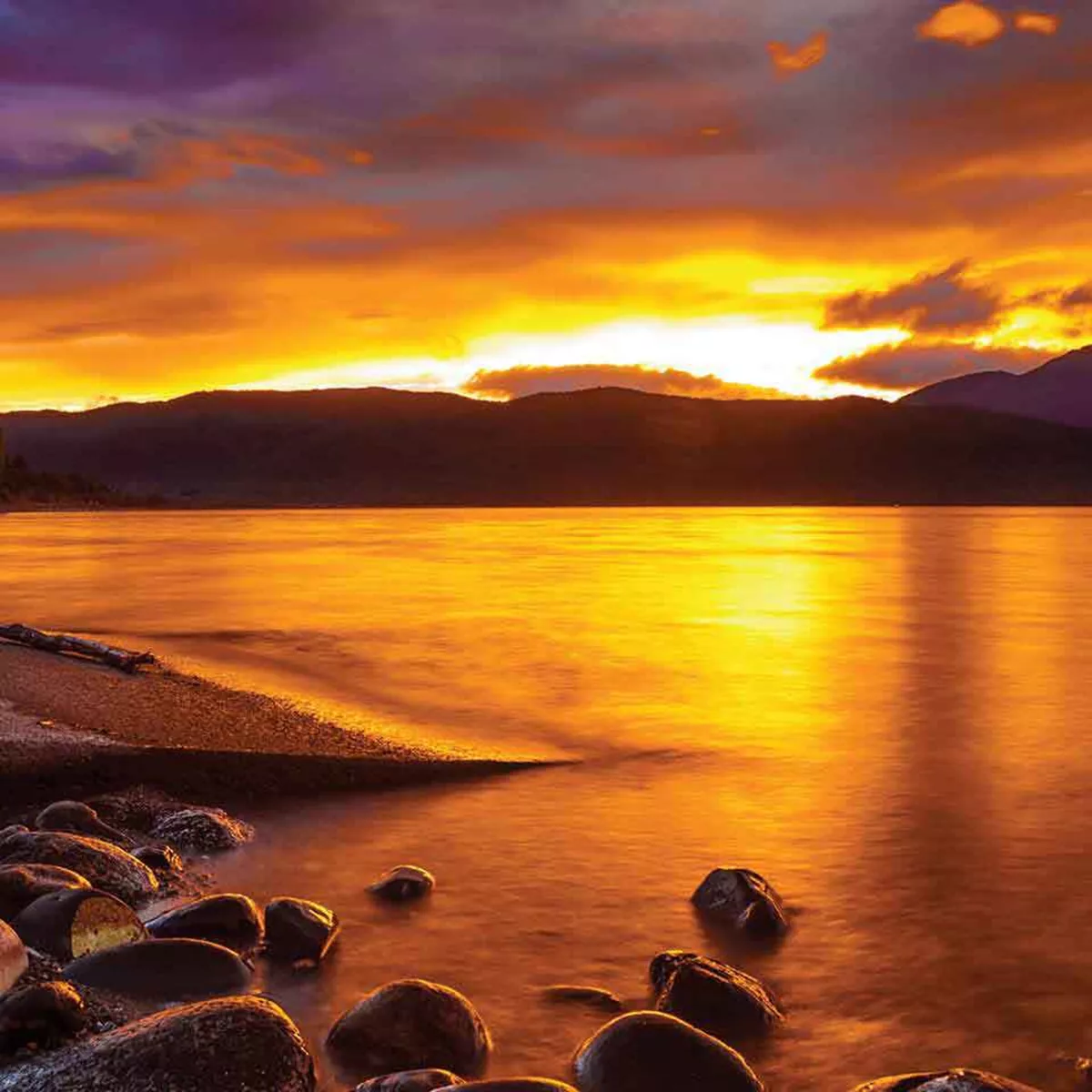 New Zealand Vista