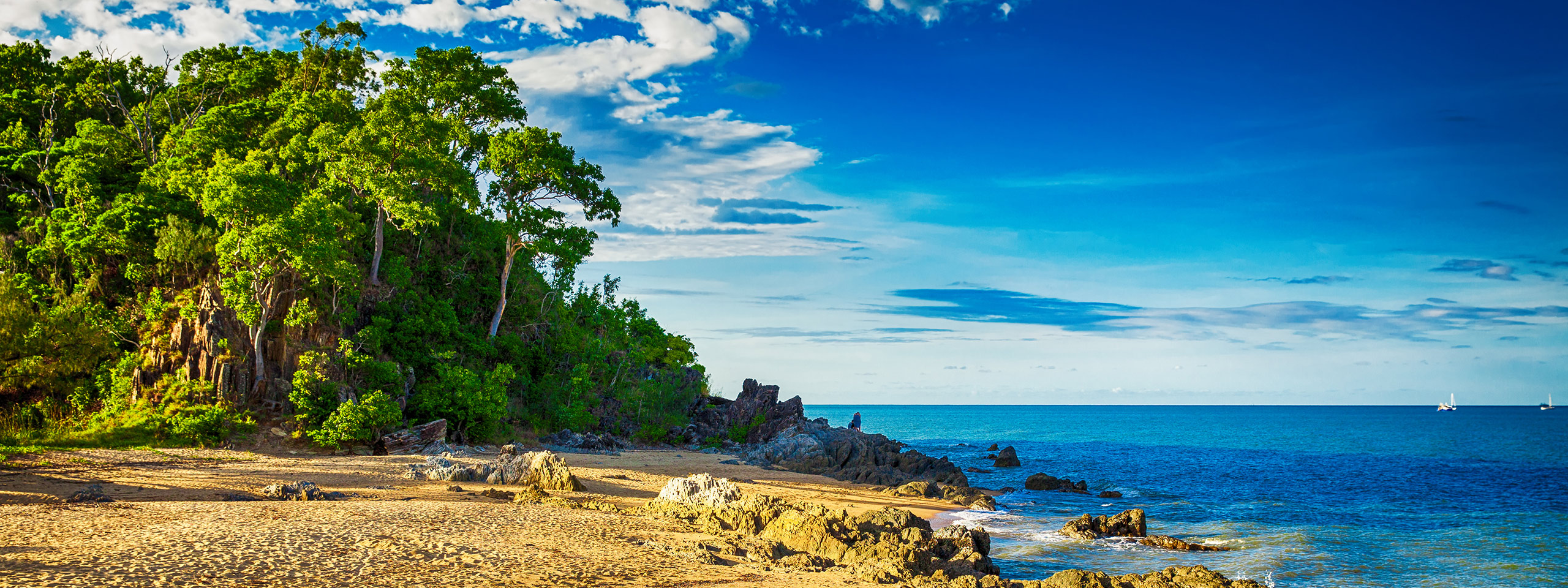 Tropical Reef and Rainforest