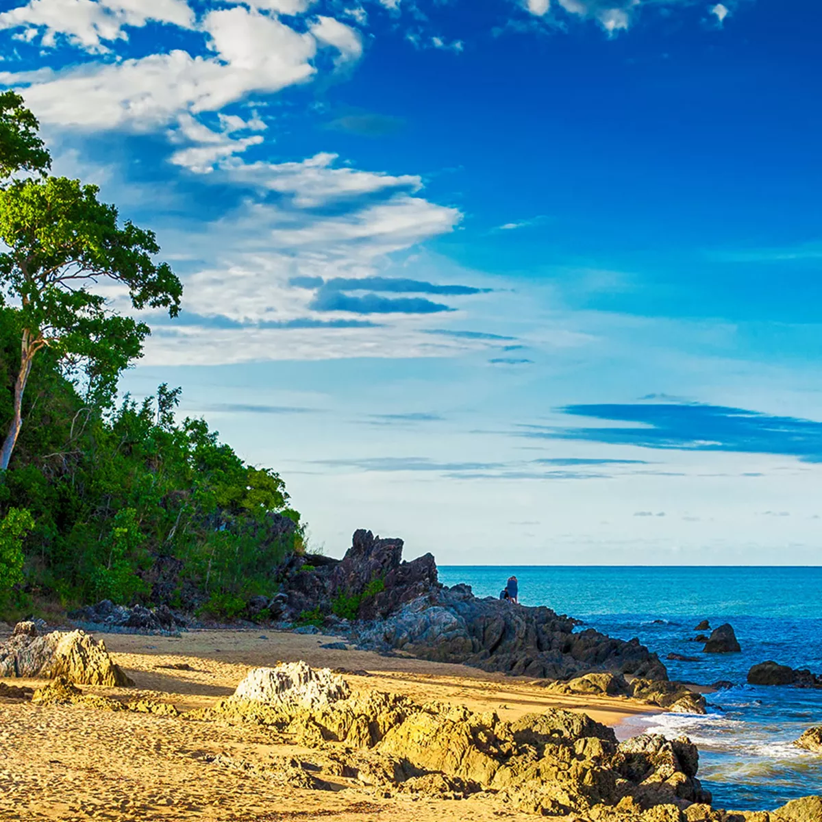 Tropical Reef and Rainforest