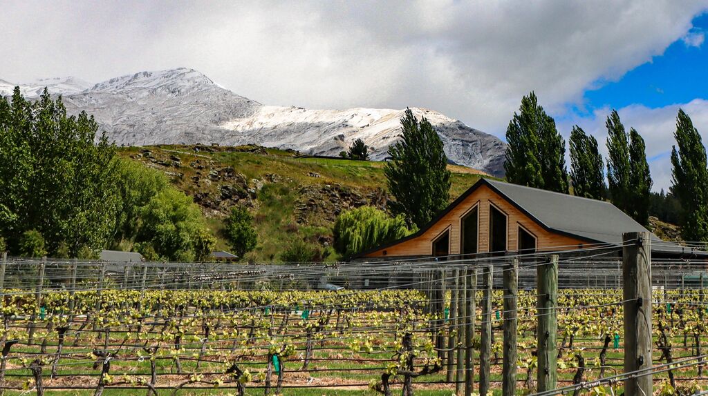 2023 10 27 Queenstown (11) Kinross Winery