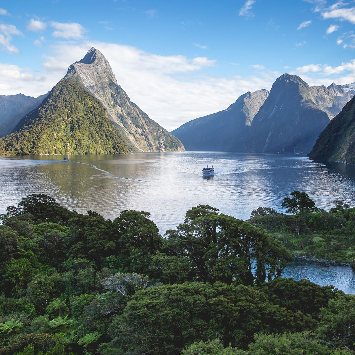 Milford Sound Credit: RealNZ