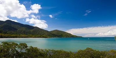 Cape Tribulation