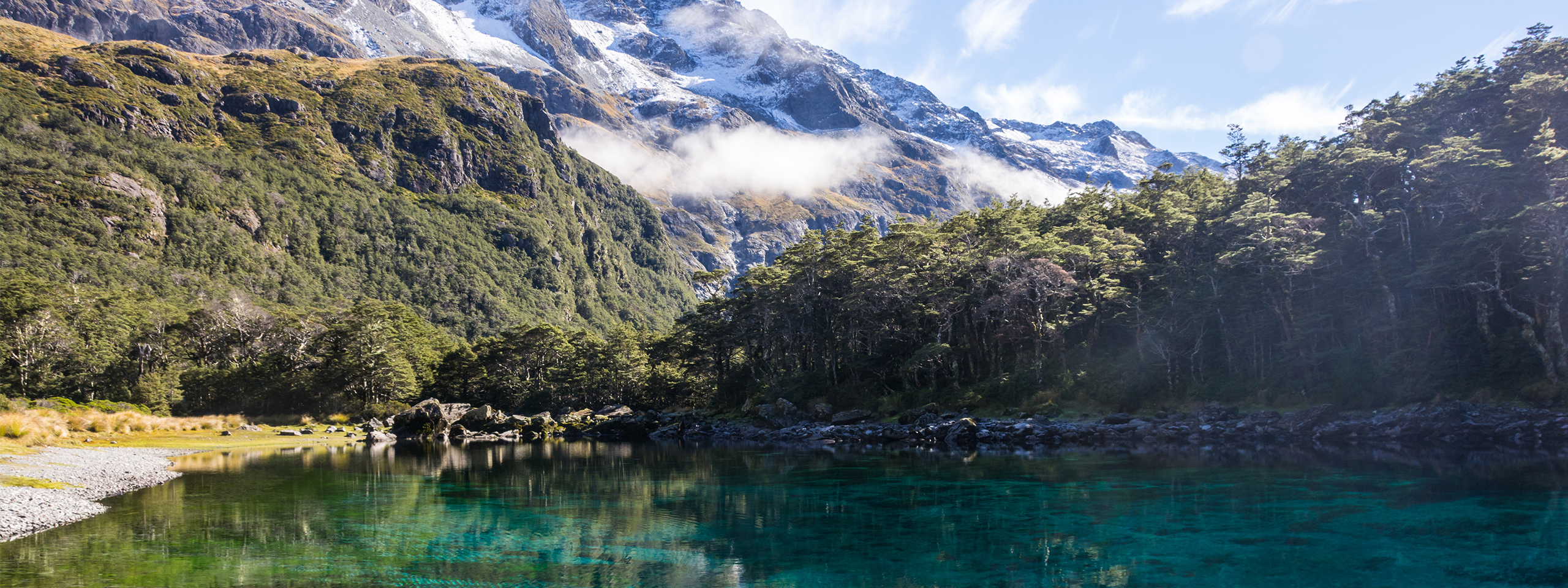 Bay surrounded by a landscape of trees and mountains