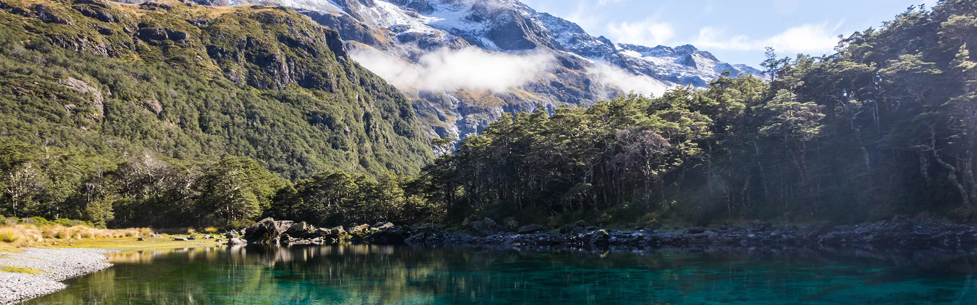 Bay surrounded by a landscape of trees and mountains