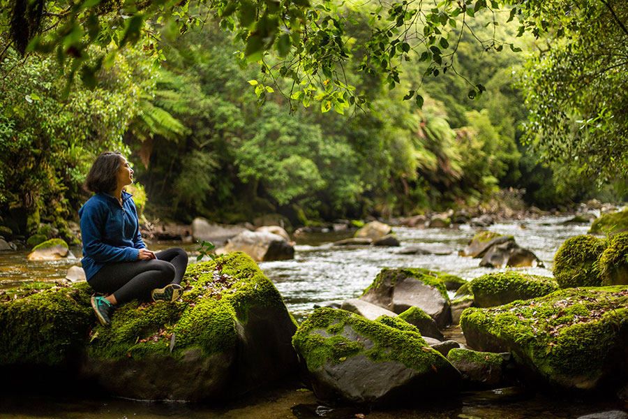Whirinaki Forest Footsteps