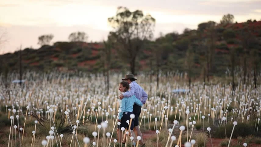 A man and a woman walking through a field of dandelions
