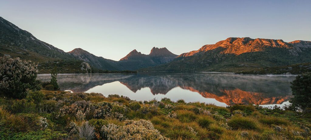 Cradle Mountain reflecting in a calm lake at dusk, with rugged peaks and alpine vegetation in the foreground.