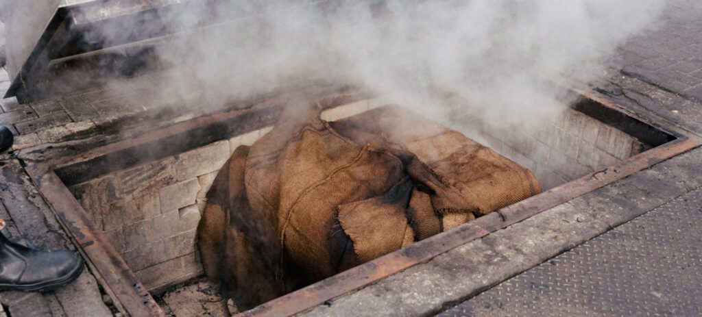 Steam rising from a geothermal earth oven at Te Puia, showcasing traditionalMāori cooking methods in Rotorua.