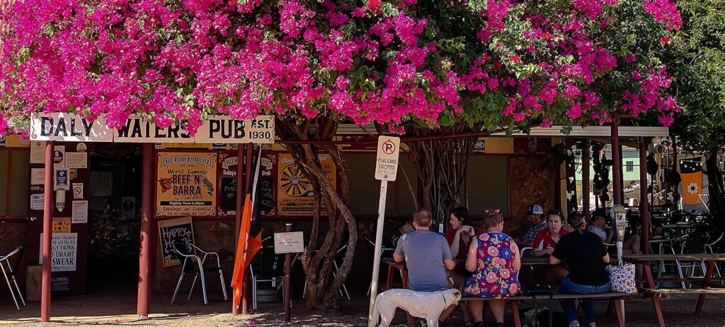 A large bougainvillea tree covered in bright pink flowers shades outdoor seating at Daly Waters Pub, where several people sit at picnic tables with a dog resting nearby under a clear blue sky.
