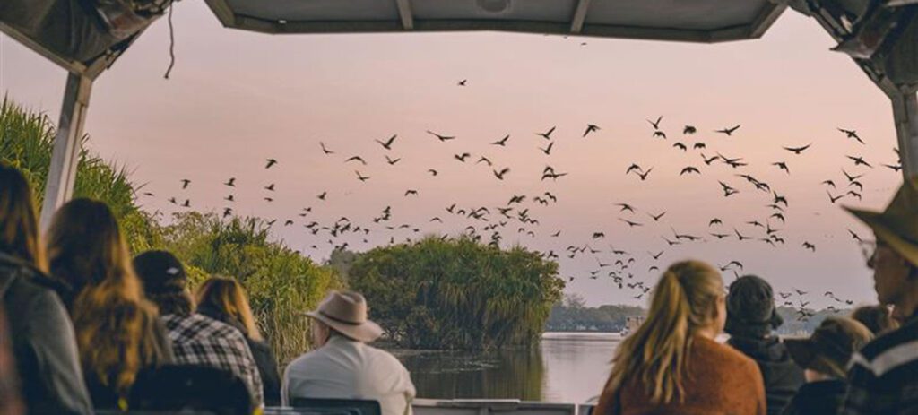 Travellers on a Yellow Water Billabong cruise watching birds over Kakadu wetlands