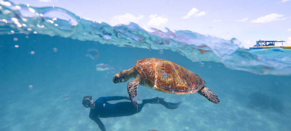 Great Barrier Reef, Queensland / Tourism Tropical North Queensland