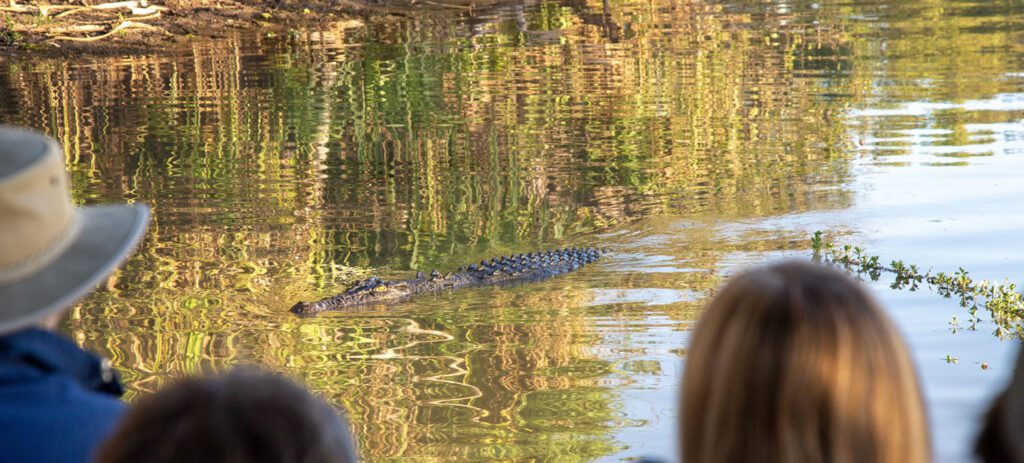 Yellow Water Billabong, Tourism Australia