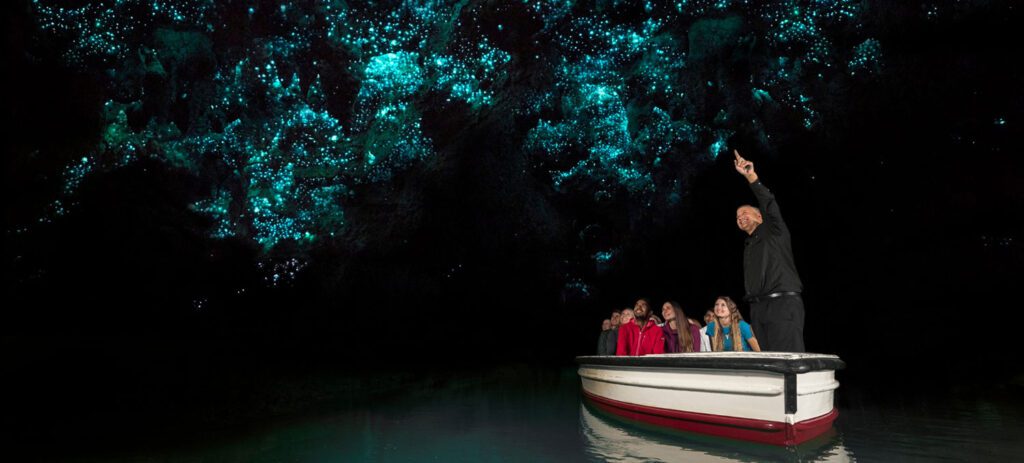 Waitomo Glowworm Caves, New Zealand / Corin Walker Bain
