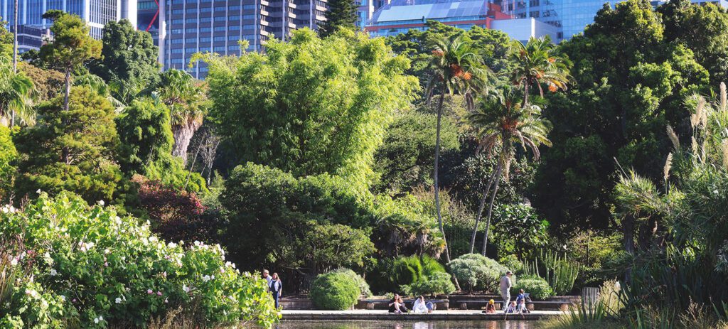 Lush urban garden with a reflective pond, tropical trees, and people relaxing near the water, set against a backdrop of modern city skyscrapers.