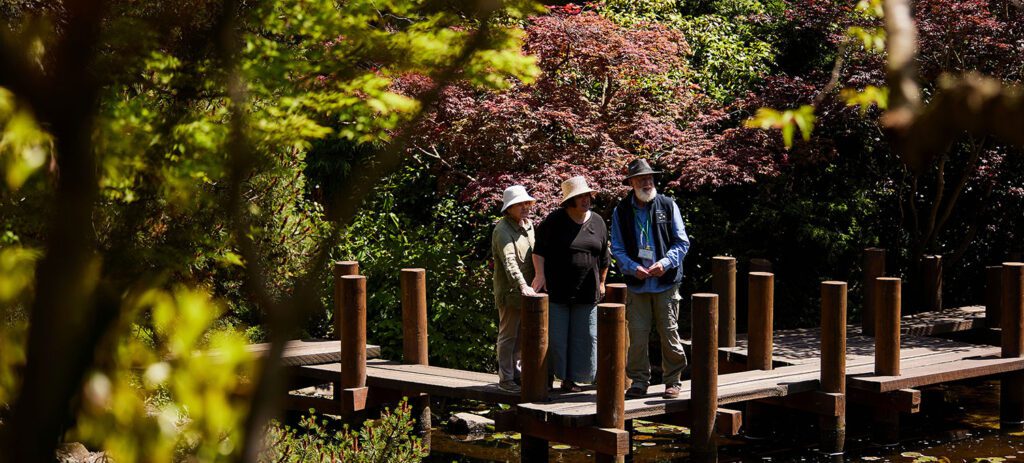 Three people standing on a wooden dock over a pond surrounded by lush greenery and colourful trees in a botanical garden.