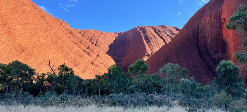 Sunlit red curves of Uluru above frost-tipped desert grass in winter