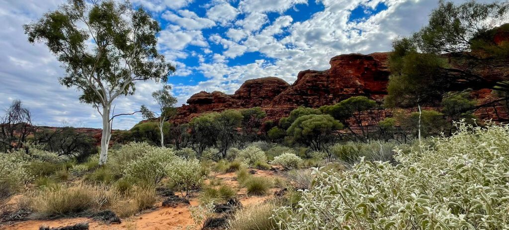 Kings Canyon escarpment under a bright winter sky