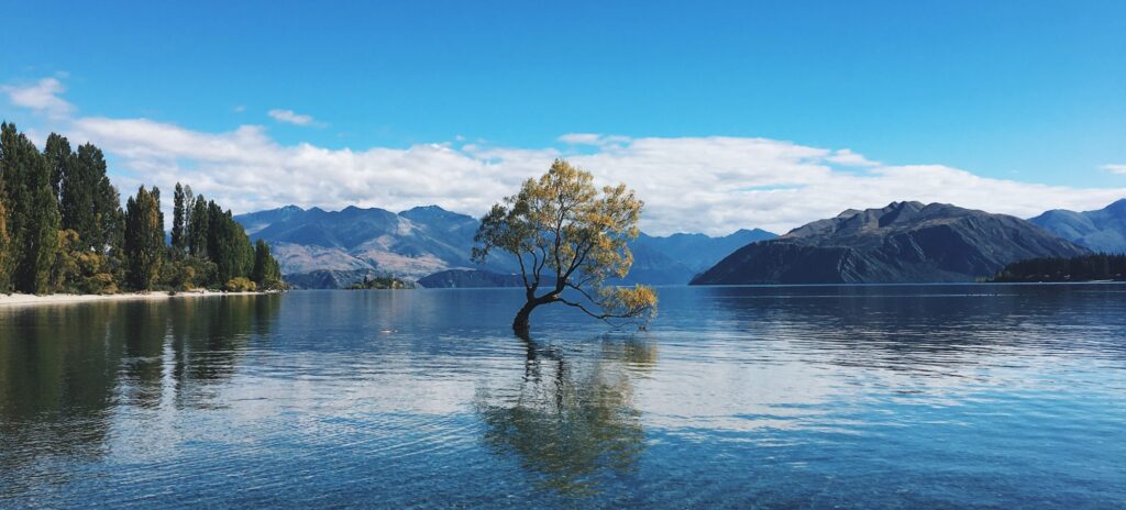 Wanaka Lake