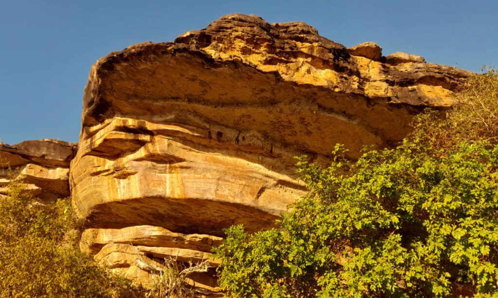 Layered sandstone rock overhang rises above dense green native vegetation beneath a clear blue sky.