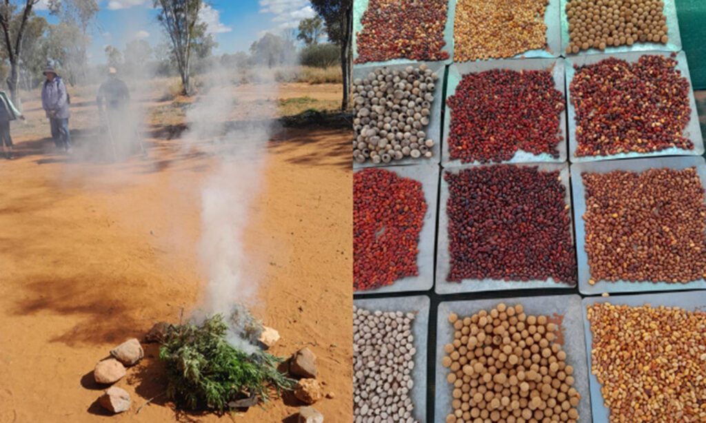Side-by-side photos show visitors approaching a smoking ceremony in Australian bushland and an assortment of colorful native seeds and bush foods arranged in rows.