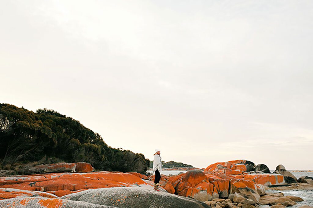 Bay of Fires. Credit: Tourism Tasmania